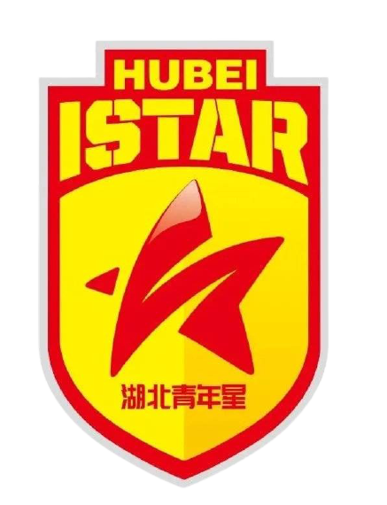 湖北青年星队徽